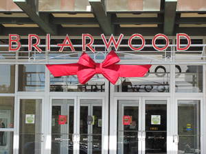Holiday 2010 Entrance Bow 002.jpg